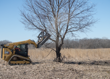 Forestry Disk Mulcher Cutting Down a Tree